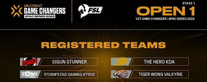 Entering Valorant Scene, Tiger Wong Valkyrie is the Organization’s First Ladies Team!
