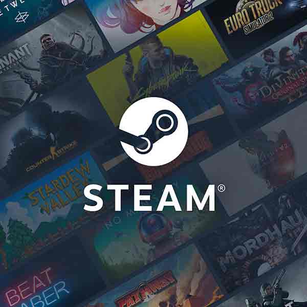 Steam USD